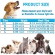 ATETEO Dog Collar, Reflective Adjustable Basic Dog Collar with Soft Neoprene Padding, Durable Nylon Pet Collars for Puppies Small Dogs ATETEO Dog Collar, Reflective Adjustable Basic Dog Collar with Soft Neoprene Padding, Durable Nylon Pet Collars for Puppies Small Dogs