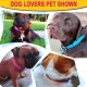 ATETEO Dog Collar, Reflective Adjustable Basic Dog Collar with Soft Neoprene Padding, Durable Nylon Pet Collars for Puppies Small Dogs ATETEO Dog Collar, Reflective Adjustable Basic Dog Collar with Soft Neoprene Padding, Durable Nylon Pet Collars for Puppies Small Dogs