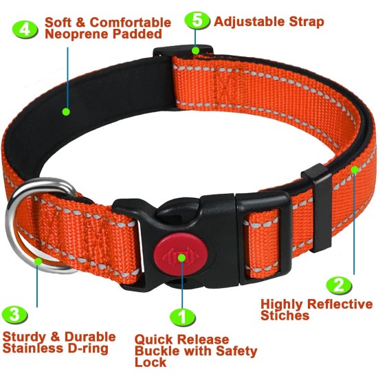 ATETEO Dog Collar, Reflective Adjustable Basic Dog Collar with Soft Neoprene Padding, Durable Nylon Pet Collars for Puppies Small Dogs ATETEO Dog Collar, Reflective Adjustable Basic Dog Collar with Soft Neoprene Padding, Durable Nylon Pet Collars for Puppies Small Dogs