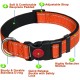 ATETEO Dog Collar, Reflective Adjustable Basic Dog Collar with Soft Neoprene Padding, Durable Nylon Pet Collars for Puppies Small Dogs ATETEO Dog Collar, Reflective Adjustable Basic Dog Collar with Soft Neoprene Padding, Durable Nylon Pet Collars for Puppies Small Dogs