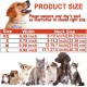 ATETEO Dog Collar, Reflective Adjustable Basic Dog Collar with Soft Neoprene Padding, Durable Nylon Pet Collars for Puppies Small Dogs ATETEO Dog Collar, Reflective Adjustable Basic Dog Collar with Soft Neoprene Padding, Durable Nylon Pet Collars for Puppies Small Dogs