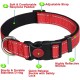 ATETEO Dog Collar, Reflective Adjustable Basic Dog Collar with Soft Neoprene Padding, Durable Nylon Pet Collars for Puppies Small Dogs ATETEO Dog Collar, Reflective Adjustable Basic Dog Collar with Soft Neoprene Padding, Durable Nylon Pet Collars for Puppies Small Dogs