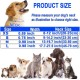 ATETEO Dog Collar, Reflective Adjustable Basic Dog Collar with Soft Neoprene Padding, Durable Nylon Pet Collars for Puppies Small Dogs ATETEO Dog Collar, Reflective Adjustable Basic Dog Collar with Soft Neoprene Padding, Durable Nylon Pet Collars for Puppies Small Dogs