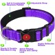 ATETEO Dog Collar, Reflective Adjustable Basic Dog Collar with Soft Neoprene Padding, Purple, Small, Medium, Large Dogs ATETEO Dog Collar, Reflective Adjustable Basic Dog Collar with Soft Neoprene Padding, Purple, Small, Medium, Large Dogs