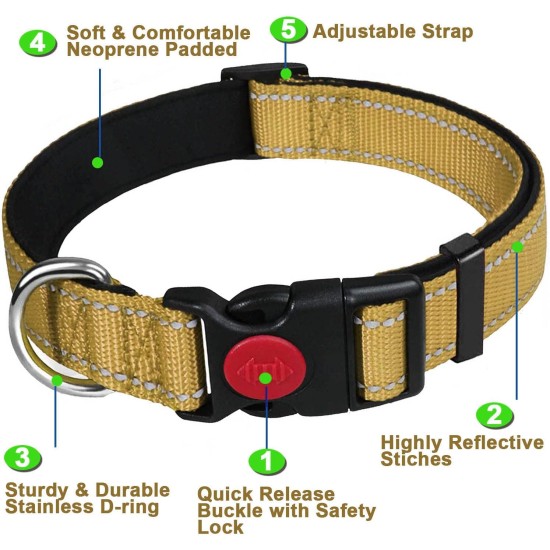 ATETEO Dog Collar, Reflective Adjustable Basic Dog Collar with Soft Neoprene Padding, Purple, Small, Medium, Large Dogs ATETEO Dog Collar, Reflective Adjustable Basic Dog Collar with Soft Neoprene Padding, Purple, Small, Medium, Large Dogs