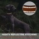 ATETEO Dog Collar, Reflective Adjustable Basic Dog Collar with Soft Neoprene Padding, Purple, Small, Medium, Large Dogs ATETEO Dog Collar, Reflective Adjustable Basic Dog Collar with Soft Neoprene Padding, Purple, Small, Medium, Large Dogs