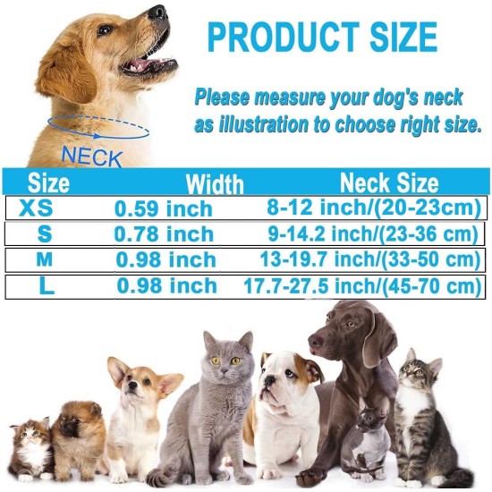 ATETEO Dog Collar, Reflective Adjustable Basic Dog Collar with Soft Neoprene Padding, Purple, Small, Medium, Large Dogs ATETEO Dog Collar, Reflective Adjustable Basic Dog Collar with Soft Neoprene Padding, Purple, Small, Medium, Large Dogs