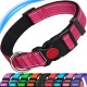 ATETEO Dog Collar, Reflective Adjustable Basic Dog Collar with Soft Neoprene Padding, Purple, Small, Medium, Large Dogs ATETEO Dog Collar, Reflective Adjustable Basic Dog Collar with Soft Neoprene Padding, Purple, Small, Medium, Large Dogs