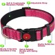 ATETEO Dog Collar, Reflective Adjustable Basic Dog Collar with Soft Neoprene Padding, Purple, Small, Medium, Large Dogs ATETEO Dog Collar, Reflective Adjustable Basic Dog Collar with Soft Neoprene Padding, Purple, Small, Medium, Large Dogs