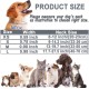 ATETEO Dog Collar, Reflective Adjustable Basic Dog Collar with Soft Neoprene Padding, Purple, Small, Medium, Large Dogs ATETEO Dog Collar, Reflective Adjustable Basic Dog Collar with Soft Neoprene Padding, Purple, Small, Medium, Large Dogs