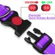 ATETEO Dog Collar, Reflective Adjustable Basic Dog Collar with Soft Neoprene Padding, Purple, Small, Medium, Large Dogs ATETEO Dog Collar, Reflective Adjustable Basic Dog Collar with Soft Neoprene Padding, Purple, Small, Medium, Large Dogs