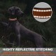 ATETEO Dog Collar, Reflective Adjustable Basic Dog Collar with Soft Neoprene Padding, Purple, Small, Medium, Large Dogs ATETEO Dog Collar, Reflective Adjustable Basic Dog Collar with Soft Neoprene Padding, Purple, Small, Medium, Large Dogs