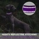 ATETEO Dog Collar, Reflective Adjustable Basic Dog Collar with Soft Neoprene Padding, Purple, Small, Medium, Large Dogs ATETEO Dog Collar, Reflective Adjustable Basic Dog Collar with Soft Neoprene Padding, Purple, Small, Medium, Large Dogs