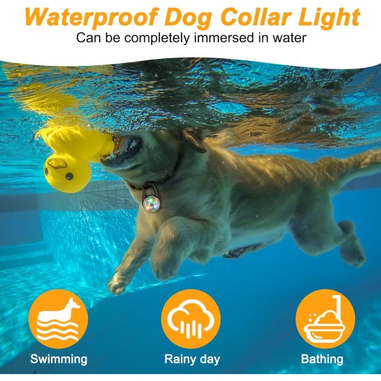 AUAUY Safety LED Flashing Light, 4 Modes Dog Light, IPX68 Waterproof Pet Lights, USB Rechargeable Dog Cat Light Pendant, Adjustable LED Light for Night Walks, Running, Camping AUAUY Safety LED Flashing Light, 4 Modes Dog Light, IPX68 Waterproof Pet Lights, USB Rechargeable Dog Cat Light Pendant, Adjustable LED Light for Night Walks, Running, Camping