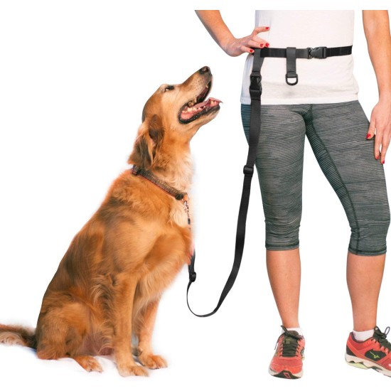 Adjustable Hands Dog Leash, Great Waist Leash for Running, Jogging And Training Servive Dog Made in USA by The Buddy System, Regular, Black Adjustable Hands Dog Leash, Great Waist Leash for Running, Jogging And Training Servive Dog Made in USA by The Buddy System, Regular, Black