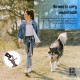 Adjustable Hands Dog Leash, Great Waist Leash for Running, Jogging And Training Servive Dog Made in USA by The Buddy System, Regular, Black Adjustable Hands Dog Leash, Great Waist Leash for Running, Jogging And Training Servive Dog Made in USA by The Buddy System, Regular, Black