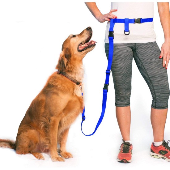 Adjustable Hands Dog Leash, Great Waist Leash for Running, Jogging And Training Servive Dog Made in USA by The Buddy System, Regular, Black Adjustable Hands Dog Leash, Great Waist Leash for Running, Jogging And Training Servive Dog Made in USA by The Buddy System, Regular, Black