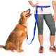 Adjustable Hands Dog Leash, Great Waist Leash for Running, Jogging And Training Servive Dog Made in USA by The Buddy System, Regular, Black Adjustable Hands Dog Leash, Great Waist Leash for Running, Jogging And Training Servive Dog Made in USA by The Buddy System, Regular, Black