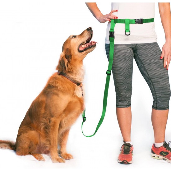Adjustable Hands Dog Leash, Great Waist Leash for Running, Jogging And Training Servive Dog Made in USA by The Buddy System, Regular, Black Adjustable Hands Dog Leash, Great Waist Leash for Running, Jogging And Training Servive Dog Made in USA by The Buddy System, Regular, Black