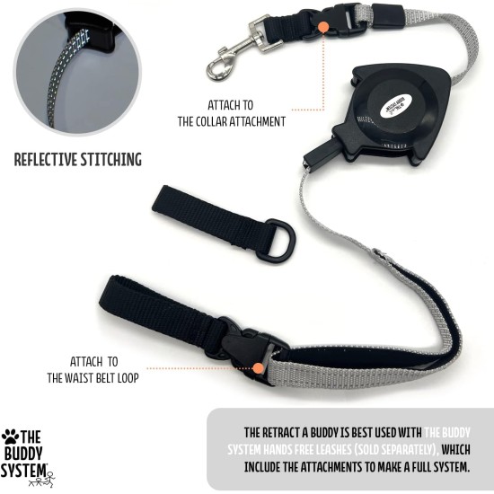 Adjustable Hands Dog Leash, Great Waist Leash for Running, Jogging And Training Servive Dog Made in USA by The Buddy System, Regular, Black Adjustable Hands Dog Leash, Great Waist Leash for Running, Jogging And Training Servive Dog Made in USA by The Buddy System, Regular, Black