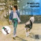 Adjustable Hands Dog Leash, Great Waist Leash for Running, Jogging And Training Servive Dog Made in USA by The Buddy System, Regular, Black Adjustable Hands Dog Leash, Great Waist Leash for Running, Jogging And Training Servive Dog Made in USA by The Buddy System, Regular, Black