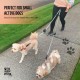Adjustable Hands Dog Leash, Great Waist Leash for Running, Jogging And Training Servive Dog Made in USA by The Buddy System, Regular, Black Adjustable Hands Dog Leash, Great Waist Leash for Running, Jogging And Training Servive Dog Made in USA by The Buddy System, Regular, Black