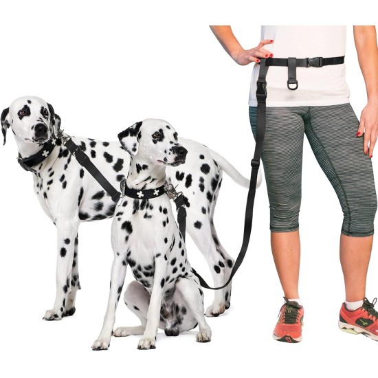 Adjustable Hands Dog Leash, Great Waist Leash for Running, Jogging And Training Servive Dog Made in USA by The Buddy System, Regular, Black Adjustable Hands Dog Leash, Great Waist Leash for Running, Jogging And Training Servive Dog Made in USA by The Buddy System, Regular, Black