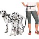 Adjustable Hands Dog Leash, Great Waist Leash for Running, Jogging And Training Servive Dog Made in USA by The Buddy System, Regular, Black Adjustable Hands Dog Leash, Great Waist Leash for Running, Jogging And Training Servive Dog Made in USA by The Buddy System, Regular, Black