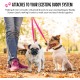 Adjustable Hands Dog Leash, Great Waist Leash for Running, Jogging And Training Servive Dog Made in USA by The Buddy System, Regular, Black Adjustable Hands Dog Leash, Great Waist Leash for Running, Jogging And Training Servive Dog Made in USA by The Buddy System, Regular, Black