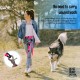 Adjustable Hands Dog Leash, Great Waist Leash for Running, Jogging And Training Servive Dog Made in USA by The Buddy System, Regular, Black Adjustable Hands Dog Leash, Great Waist Leash for Running, Jogging And Training Servive Dog Made in USA by The Buddy System, Regular, Black