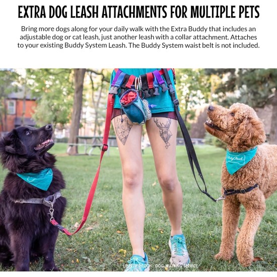 Adjustable Hands Dog Leash, Great Waist Leash for Running, Jogging And Training Servive Dog Made in USA by The Buddy System, Regular, Black Adjustable Hands Dog Leash, Great Waist Leash for Running, Jogging And Training Servive Dog Made in USA by The Buddy System, Regular, Black