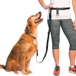 Adjustable Hands Dog Leash, Great Waist Leash for Running, Jogging And Training Servive Dog Made in USA by The Buddy System, Regular, Black Adjustable Hands Dog Leash, Great Waist Leash for Running, Jogging And Training Servive Dog Made in USA by The Buddy System, Regular, Black