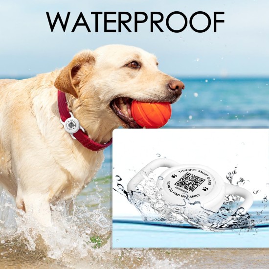 AirTag Dog Collar with QR Code Smart Pet ID Tag, Dual Loop Tracker Holder with Smart QR Code, Waterproof, Dustproof, Silent Airtag Holder, Small BlacK AirTag Dog Collar with QR Code Smart Pet ID Tag, Dual Loop Tracker Holder with Smart QR Code, Waterproof, Dustproof, Silent Airtag Holder, Small BlacK
