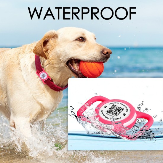 AirTag Dog Collar with QR Code Smart Pet ID Tag, Dual Loop Tracker Holder with Smart QR Code, Waterproof, Dustproof, Silent Airtag Holder, Small BlacK AirTag Dog Collar with QR Code Smart Pet ID Tag, Dual Loop Tracker Holder with Smart QR Code, Waterproof, Dustproof, Silent Airtag Holder, Small BlacK