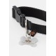 Alpha Industries Basic Dog Tag Collar Stylish Alpha Orange Alpha Industries Basic Dog Tag Collar Stylish Alpha Orange