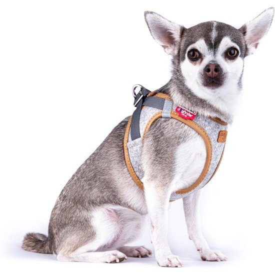 Alpine Curli Clasp Vest Harness, Light Grey, XL Alpine Curli Clasp Vest Harness, Light Grey, XL