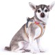 Alpine Curli Clasp Vest Harness, Light Grey, XL Alpine Curli Clasp Vest Harness, Light Grey, XL