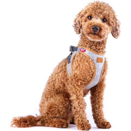 Alpine Curli Clasp Vest Harness, Light Grey, XL Alpine Curli Clasp Vest Harness, Light Grey, XL