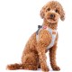 Alpine Curli Clasp Vest Harness, Light Grey, XL Alpine Curli Clasp Vest Harness, Light Grey, XL