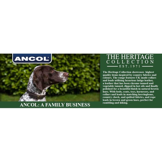 Ancol Timberwolf Leather Dog Collar, 20-26 cm, Mustard Ancol Timberwolf Leather Dog Collar, 20-26 cm, Mustard