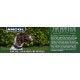 Ancol Timberwolf Leather Dog Collar, 20-26 cm, Mustard Ancol Timberwolf Leather Dog Collar, 20-26 cm, Mustard