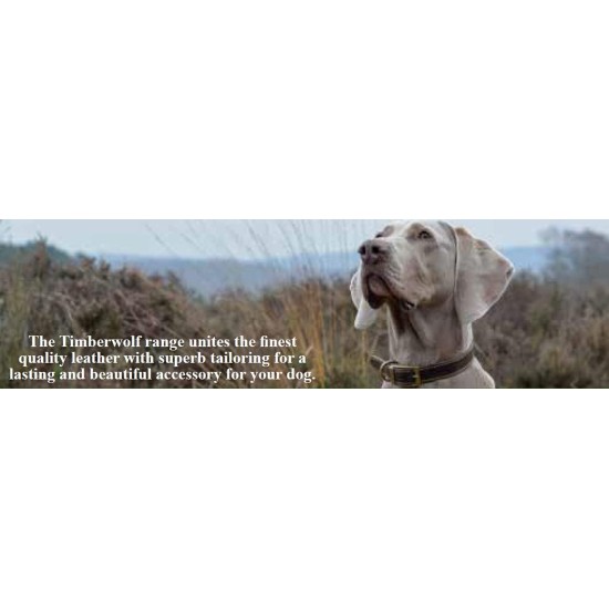 Ancol Timberwolf Leather Dog Collar, 20-26 cm, Mustard Ancol Timberwolf Leather Dog Collar, 20-26 cm, Mustard