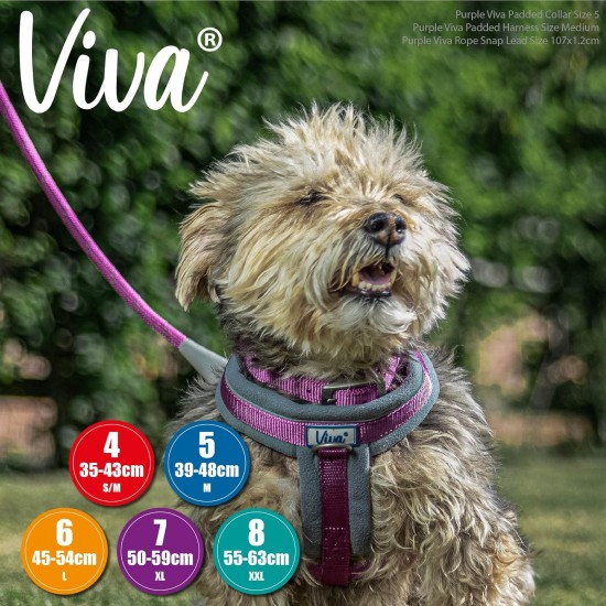Ancol Viva Padded Buckle Collar Lime 39-48cm Size 5 Ancol Viva Padded Buckle Collar Lime 39-48cm Size 5