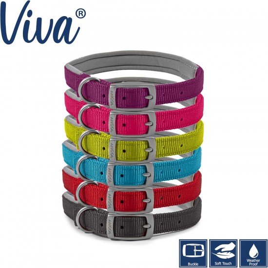 Ancol Viva Padded Buckle Collar Lime 39-48cm Size 5 Ancol Viva Padded Buckle Collar Lime 39-48cm Size 5
