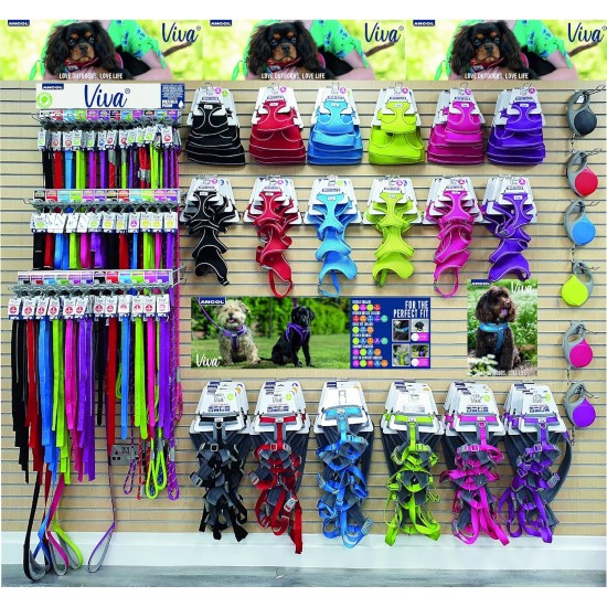 Ancol Viva Padded Buckle Collar Lime 39-48cm Size 5 Ancol Viva Padded Buckle Collar Lime 39-48cm Size 5