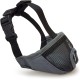 Arquivet Short Snout Muzzle - Muzzle for Dogs - Breathable and Bite Resistant - Polyester - Plastic Clip Closure - Size XS-S/23 cm, Grey Arquivet Short Snout Muzzle - Muzzle for Dogs - Breathable and Bite Resistant - Polyester - Plastic Clip Closure - Size XS-S/23 cm, Grey