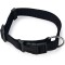 Art Sportiv Black Nylon Collar M 20mm wide x 40-55cm Art Sportiv Black Nylon Collar M 20mm wide x 40-55cm