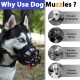 BARKLESS Dog Muzzle, Soft Silicone Basket Muzzle for Dogs, Allows Panting and Drinking, Prevents Unwanted Barking, Biting and Chewing, Includes Collar and Training Guide BARKLESS Dog Muzzle, Soft Silicone Basket Muzzle for Dogs, Allows Panting and Drinking, Prevents Unwanted Barking, Biting and Chewing, Includes Collar and Training Guide