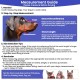 BARKLESS Dog Muzzle, Soft Silicone Basket Muzzle for Dogs, Allows Panting and Drinking, Prevents Unwanted Barking, Biting and Chewing, Includes Collar and Training Guide BARKLESS Dog Muzzle, Soft Silicone Basket Muzzle for Dogs, Allows Panting and Drinking, Prevents Unwanted Barking, Biting and Chewing, Includes Collar and Training Guide