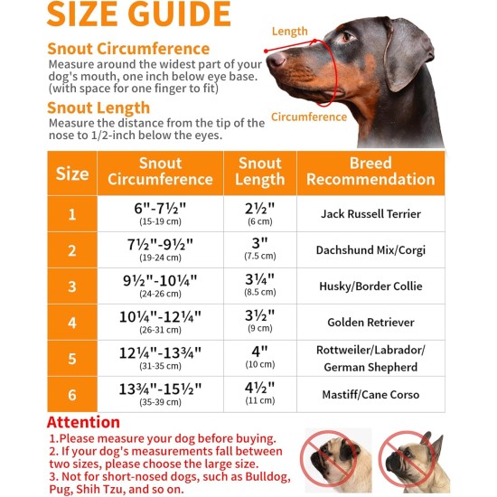 BARKLESS Dog Muzzle, Soft Silicone Basket Muzzle for Dogs, Allows Panting and Drinking, Prevents Unwanted Barking, Biting and Chewing, Includes Collar and Training Guide BARKLESS Dog Muzzle, Soft Silicone Basket Muzzle for Dogs, Allows Panting and Drinking, Prevents Unwanted Barking, Biting and Chewing, Includes Collar and Training Guide